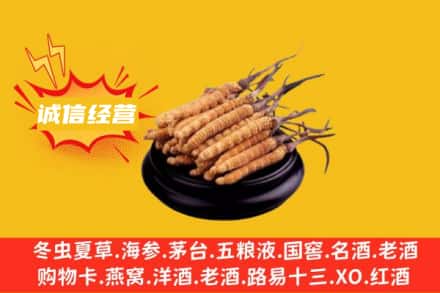 元氏县回收冬虫夏草